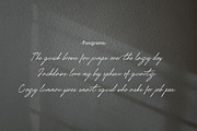 Delimis Script Font, a Script Font by JNJ Studio (Thumbnail 8 of 10)