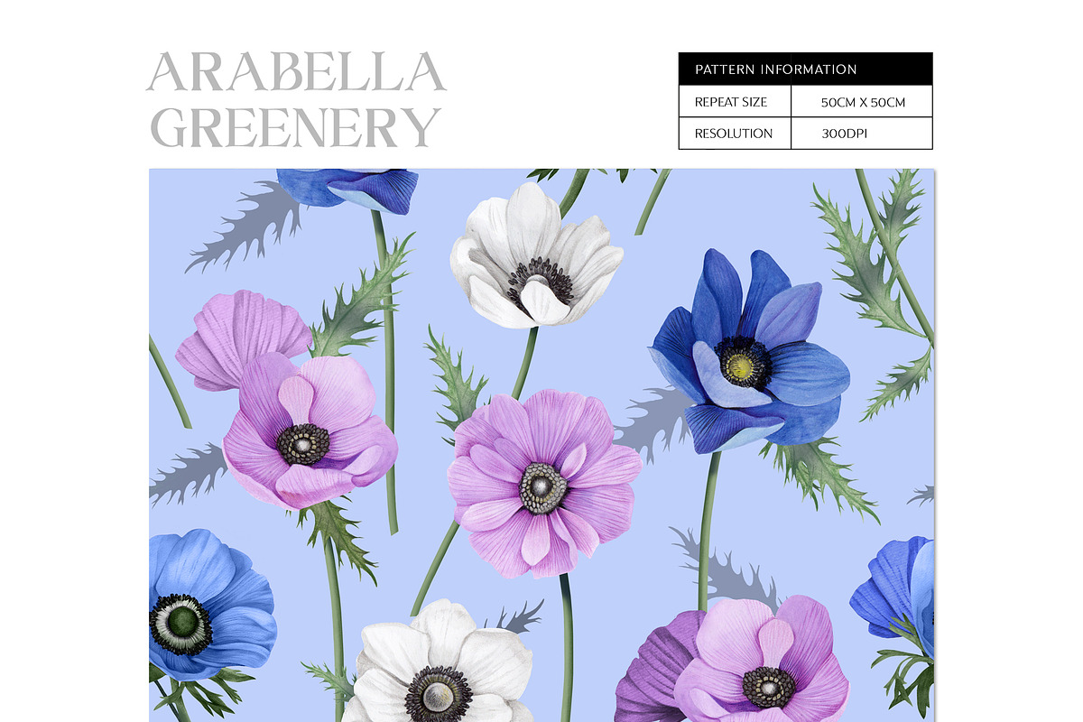 Audacious Arabella, a Decorative Illustration by Dana Designs (Photo 10 of 15)