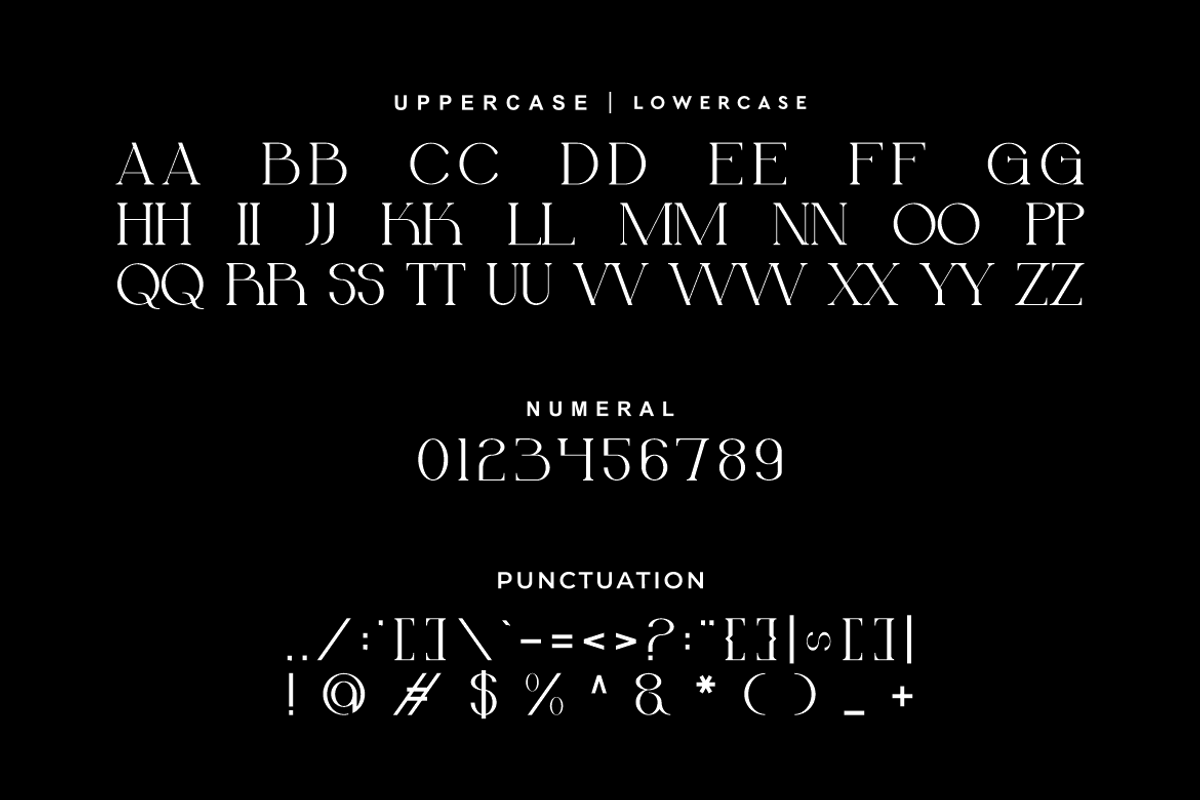 Mechooa - Modern Elegant Font, a Serif Font by Iqsiart Studio (Photo 6 of 8)