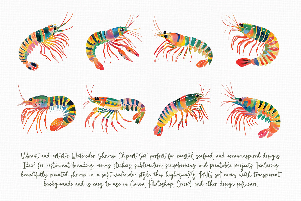 Watercolor Shrimp Clipart Set, an Illustration by Libby Wishes (Photo 5 of 8)