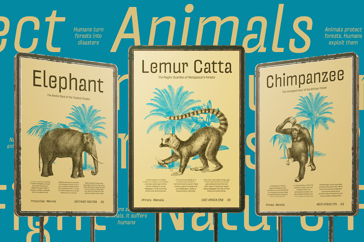 UT Garoga - An Inktrap Sans Serif, a Sans Serif Font by Universitype (Photo 12 of 14)