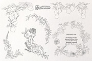 Editorial Botanical Line Art, an Object Illustration by Mio Buono (Thumbnail 8 of 16)