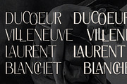 Elio & Oliver - Elegant Sans Serif, a Sans Serif Font by SilverStag Type Foundry (Thumbnail 17 of 17)