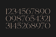 Calaviori - Display Serif, a Serif Font by Hindia Studio (Thumbnail 12 of 12)