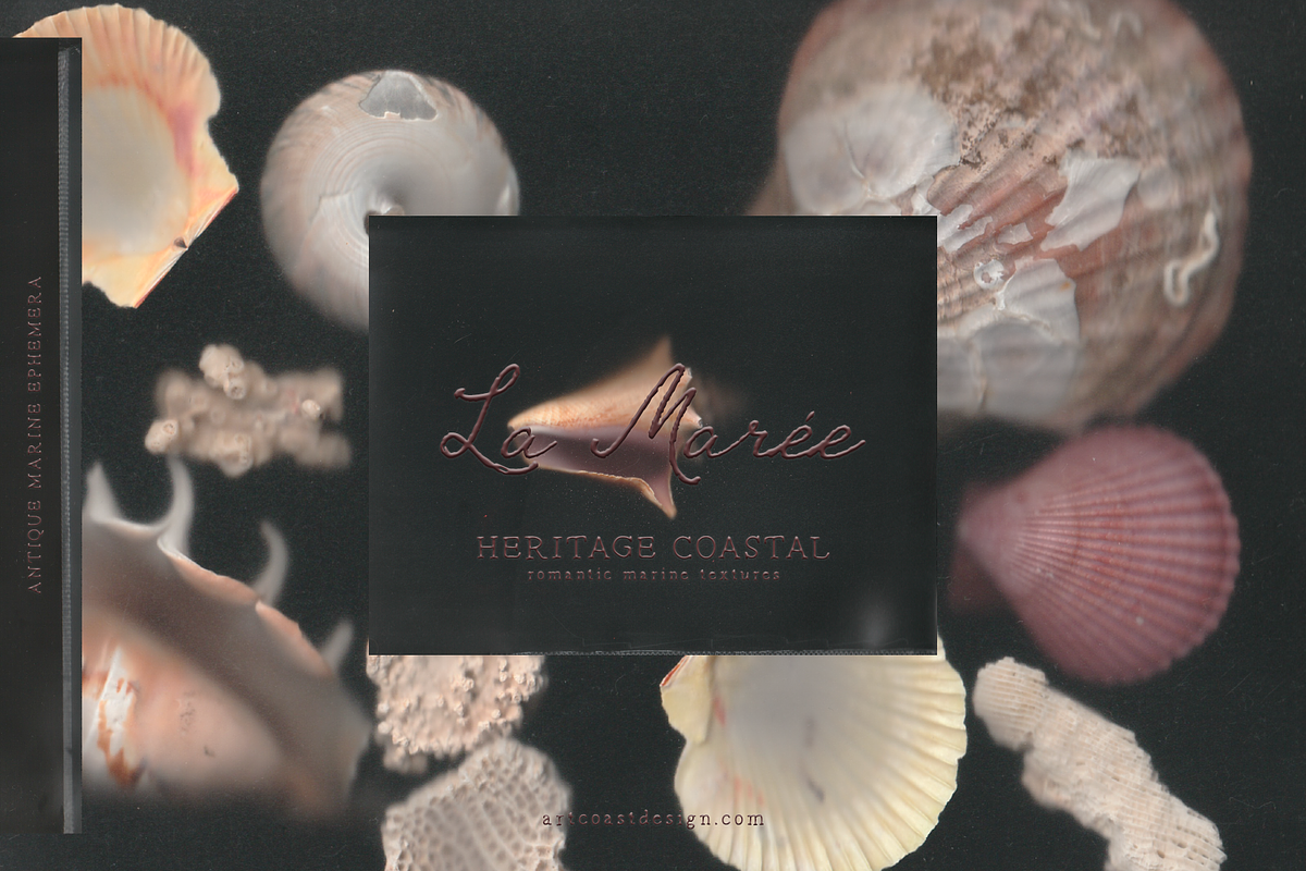 La Maree — Coastal Ephemera, a Background Graphic by nadispasibenko (Photo 1 of 9)