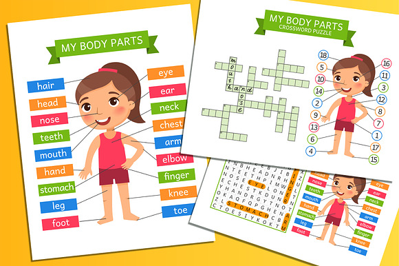 My Body Parts Printable worksheets preview 8