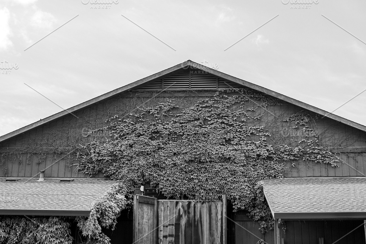 Black and White - Winery Barn, a Photo by preetim (Photo 2 of 2)