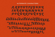 New Roshelyn Script - Font Family, a Script Font by Get Studio (Thumbnail 23 of 23)
