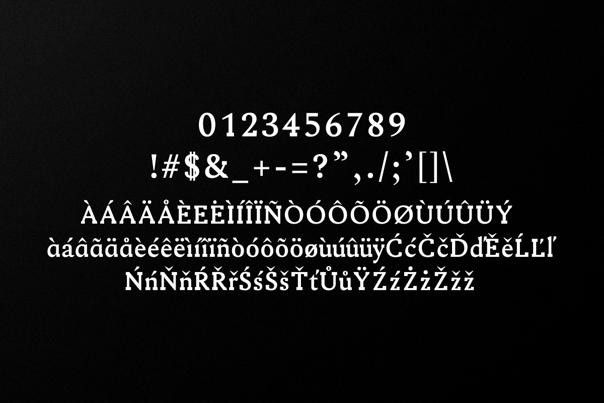Ireene Serif 3 Font Family Pack preview 4