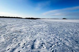 Snowy field under a blue sky with footprints across the open landscape, a Photo by AS photostudio