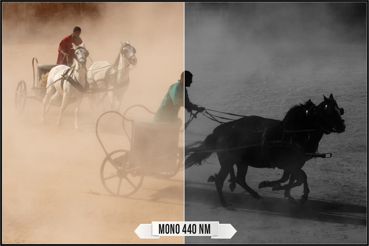 Spectrum Black & White profiles LUTs, a Plug-in Add-On by Raztrend (Photo 30 of 31)