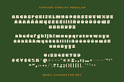 Thriver – Retro Display Font Family, a Sans Serif Font by SNI Typeworks (Thumbnail 3 of 11)
