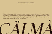 Wikolia Pixel, a Serif Font by Craft Supply Co. (Thumbnail 5 of 8)