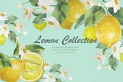 Lemon Collection, a Food Illustration by oKOLOstyle (Thumbnail 1 of 8)