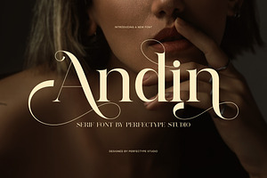 Andin Elegant Serif Font