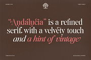 The Andalucia Serif, a Serif Font by Pista Mova (Thumbnail 4 of 26)