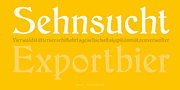 Daring, a Serif Font by preussTYPE (Thumbnail 2 of 8)