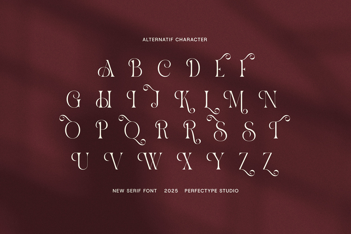 Riukin Elegant Serif Font, a Serif Font by Perfectype (Photo 7 of 8)