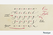 Aphrosine, a Script Font by Paratype (Thumbnail 8 of 8)