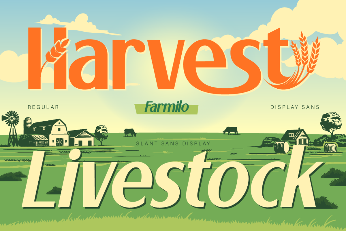 Farmilo, a Sans Serif Font by Burntilldead (Photo 4 of 12)
