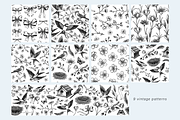 Vintage Spring Botanical Collection, a Seasonal Illustration by Yevheniia (Thumbnail 13 of 14)