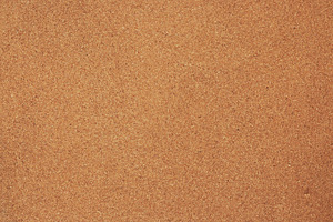 Pin board