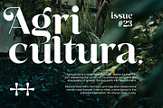 Basken Typeface, a Sans Serif Font by Megatype (Thumbnail 3 of 11)