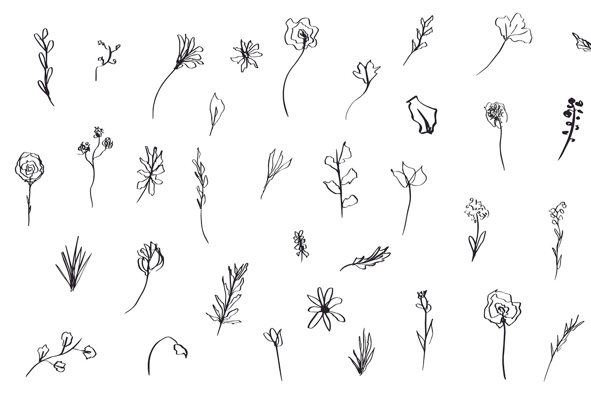 Floral Botanical Plant Illustrations, an Icon by CreativeWilderness (Photo 9 of 11)