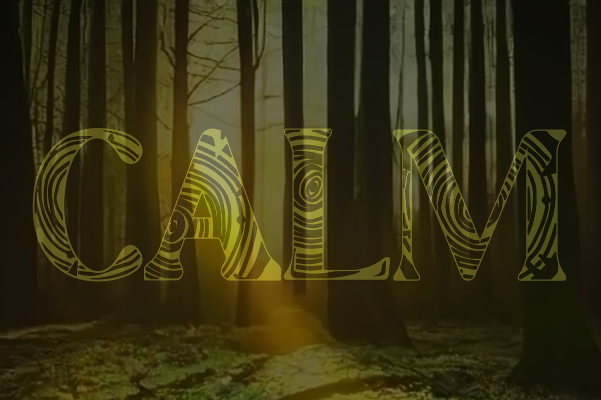 Tree Rings Font, a Sans Serif Font by OMG IT'S LINDZ (Photo 3 of 6)