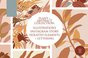 Plant + Abstract Illustration Set