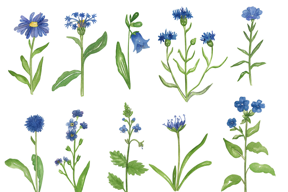 Wildflowers stories, an Illustration by Visual Animal (Photo 2 of 7)