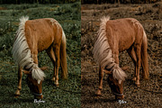 30 Fall Fantasy Photoshop Actions, an Action Add-On by 3Motional (Thumbnail 4 of 11)