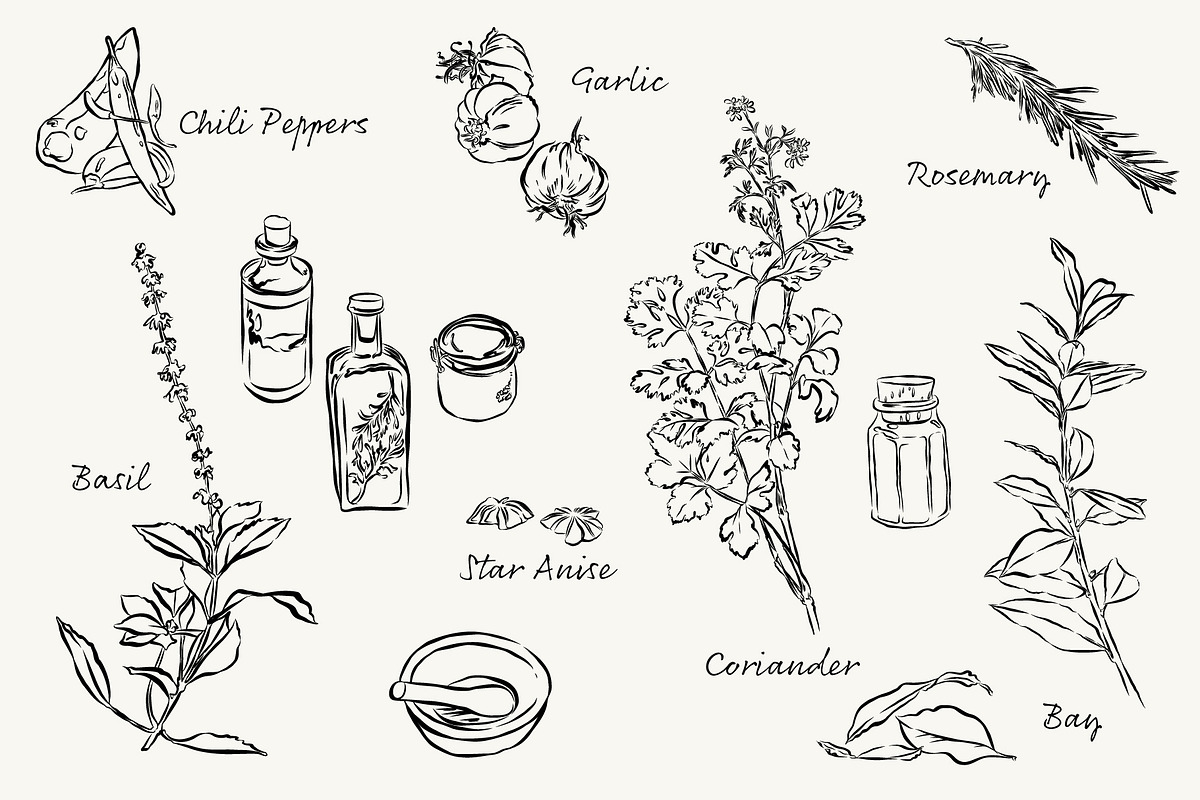 Herbs & Spices Vector Bundle, a Food Illustration by Little Gremlin (Photo 3 of 10)
