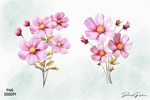 Pink Wild Flowers Watercolor Clipart