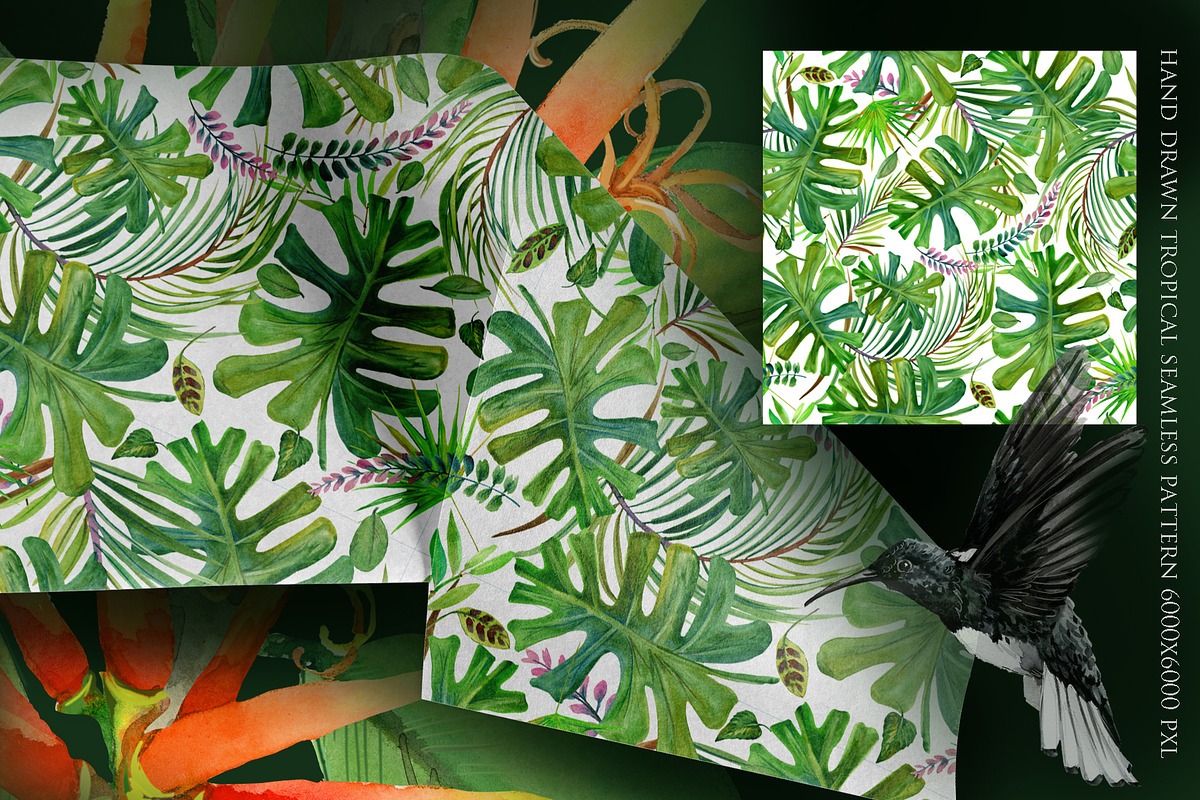 Watercolor Tropical plant & Bird, an Object Graphic by FineArt (Photo 20 of 22)