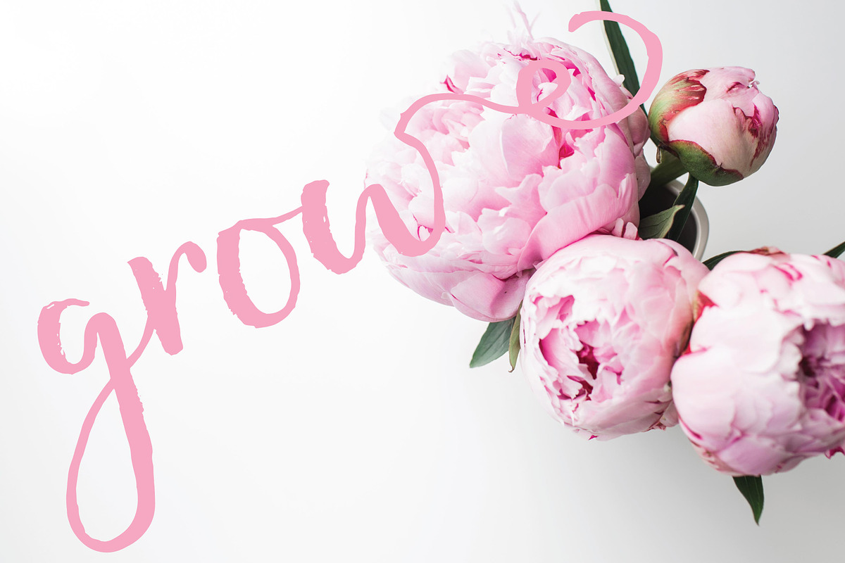 Honeycutt Brush Script preview 2