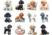 Watercolor Poodle Clipart, a Seasonal Illustration by Designking (Thumbnail 2 of 5)
