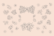 30 Hand Drawn Floral Elements, a Decorative Illustration by By Kerri Ann (Thumbnail 2 of 6)