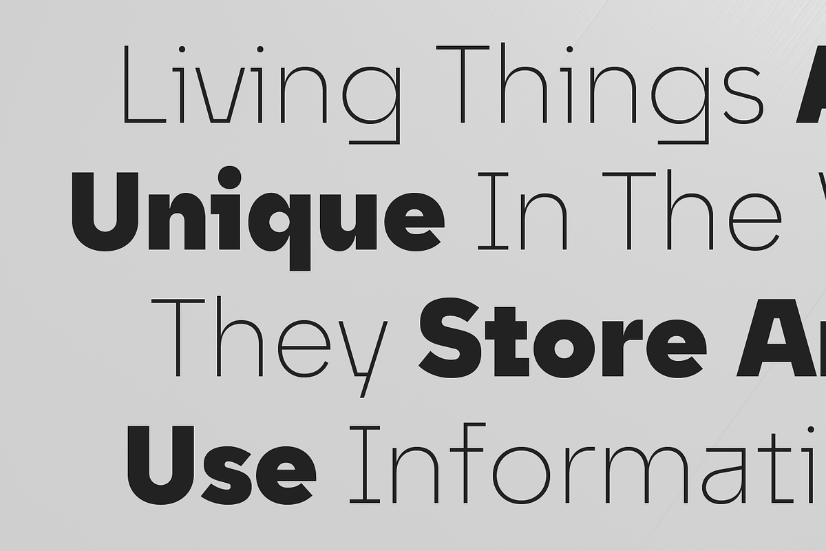 Unytour Display, a Sans Serif Font by NicolassFonts (Photo 3 of 7)