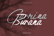 Carmina Burana - Grunge Brush Font, a Script Font by AndrewPixel (Thumbnail 1 of 10)