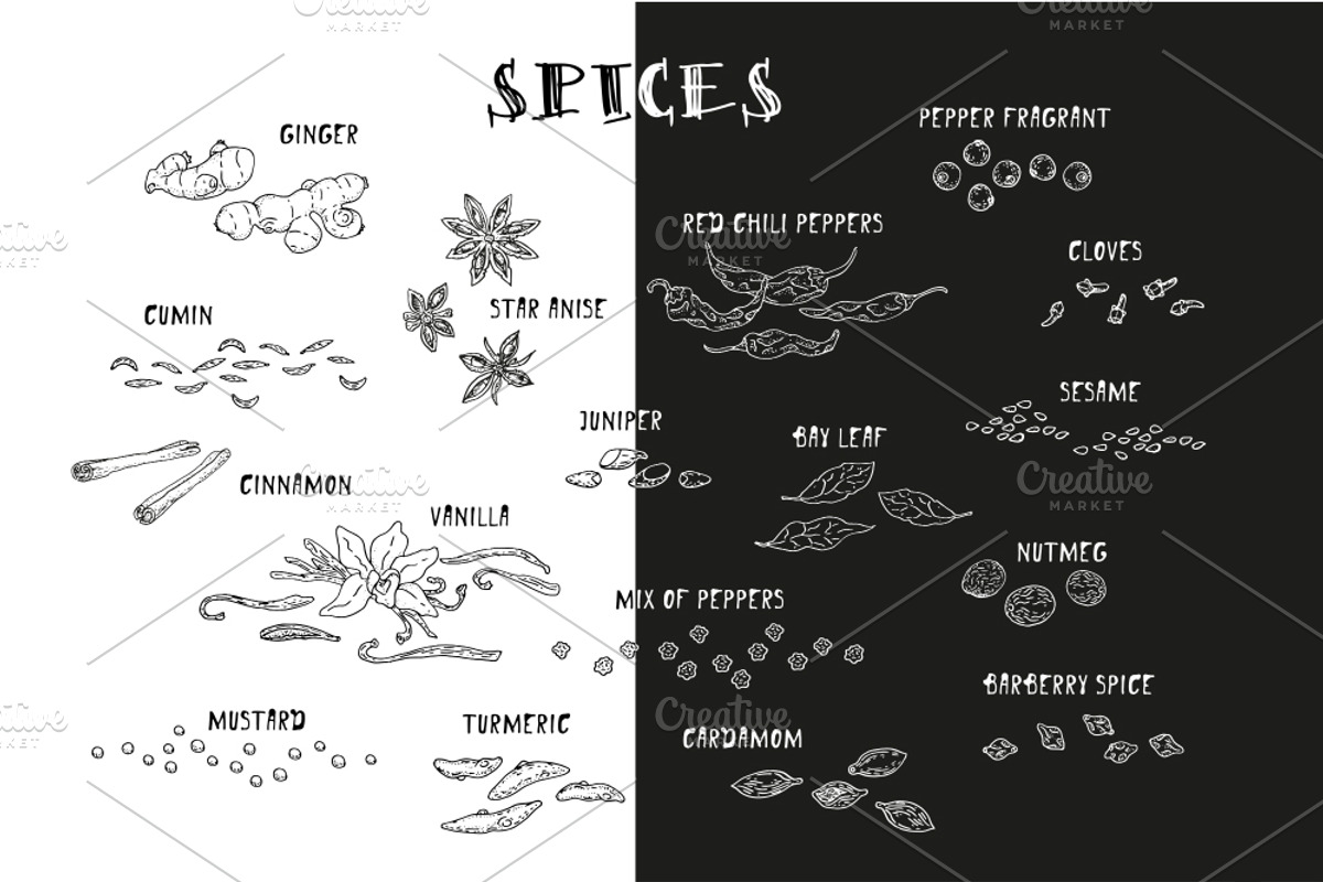 Spices. Doodle set, a Food Illustration by WINS Doodle shop (Photo 3 of 5)