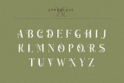 Cathleen|Vintage Ligature Serif Font, a Serif Font by Kandella's Art (Thumbnail 3 of 17)