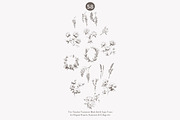 vintage clipart french chateau set, a Decorative Illustration by Patishop Art (Thumbnail 9 of 10)