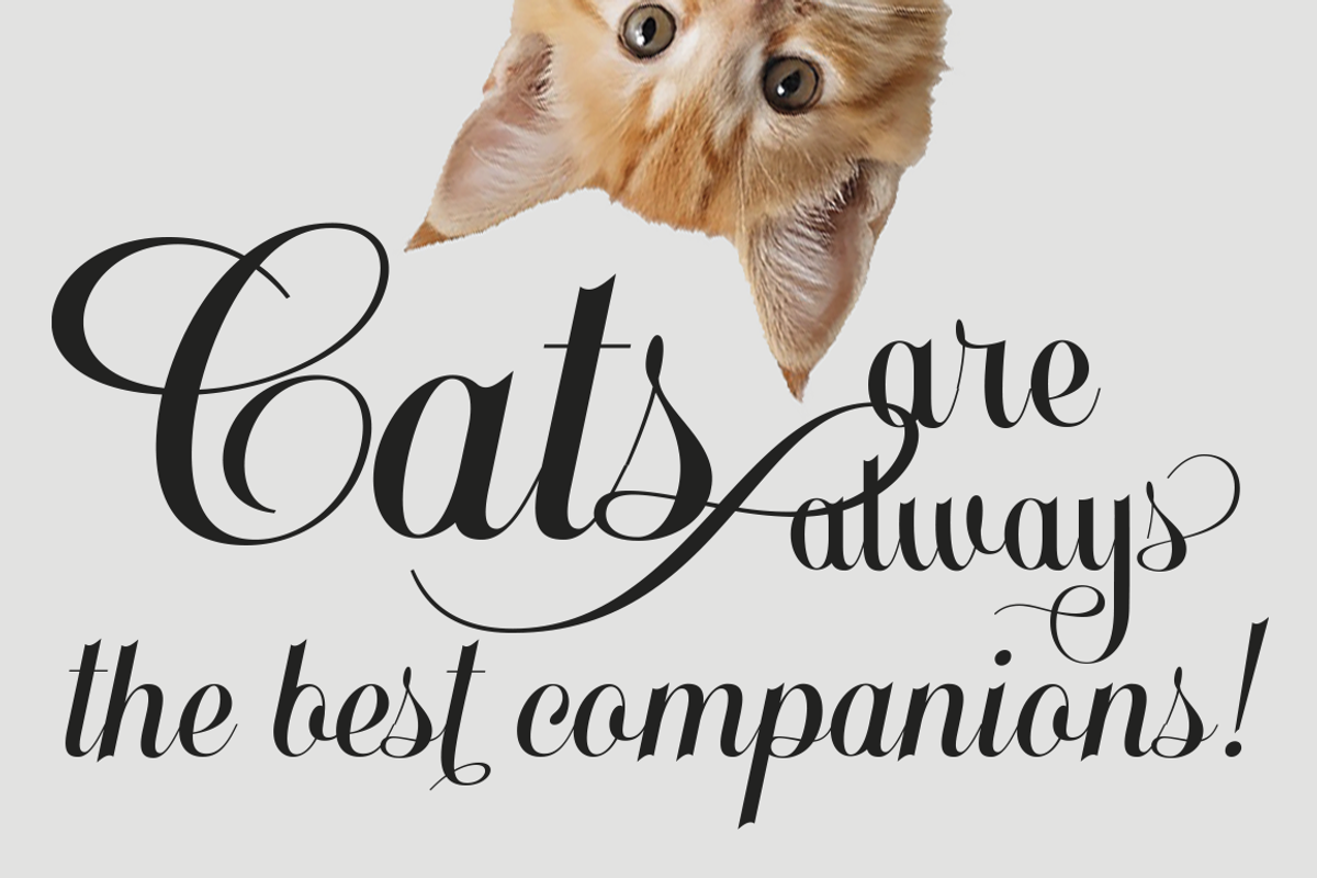 Claricia Family, a Handwritten Font by Eurotypo (Photo 2 of 8)