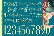 Balliome Modern Serif Typeface, a Serif Font by timelesstype.co (Thumbnail 18 of 20)