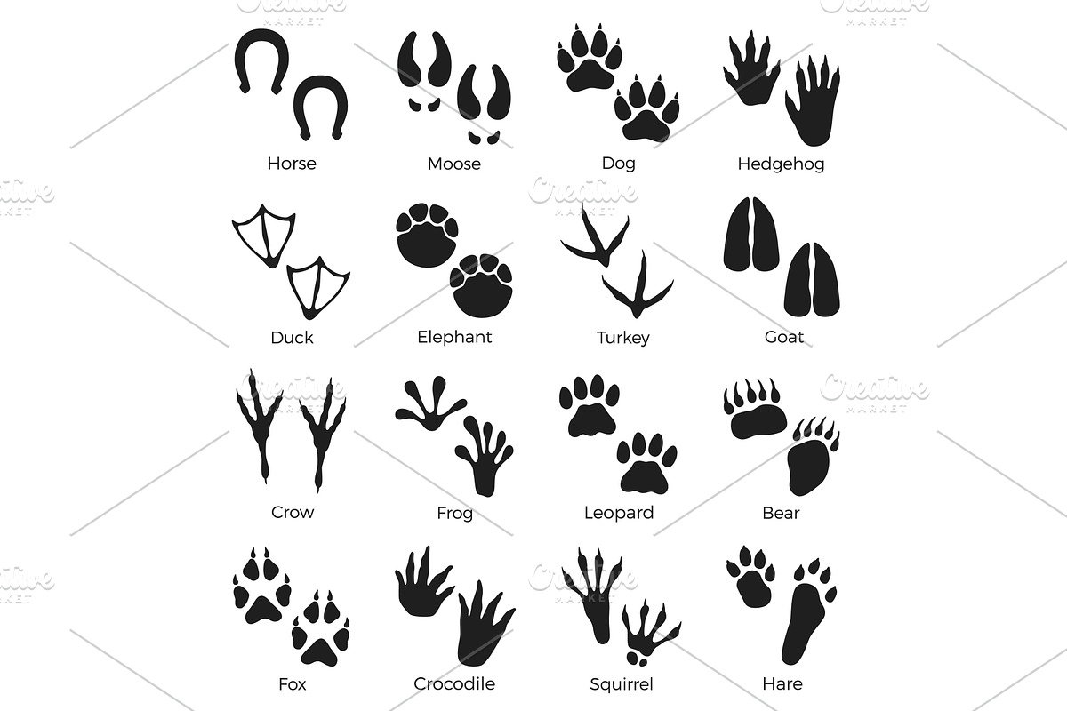Black animals footprints. Paws, an Animal Illustration by YummyBuum