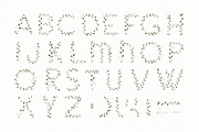 The Woodland Alphabet, an Animal Illustration by Flora+Bear (Thumbnail 4 of 16)