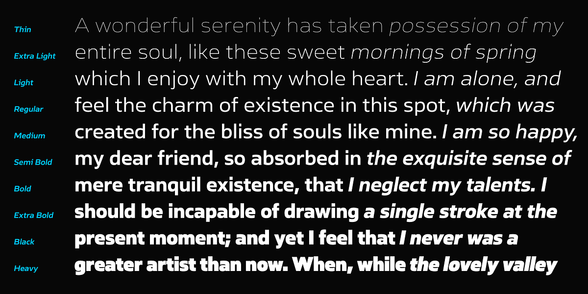 Ambulatoria B, a Sans Serif Font by Pepper Type (Photo 3 of 15)