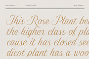 Gold Lines; Elegant Font Duo, a Script Font by Eko Bimantara (Thumbnail 6 of 20)