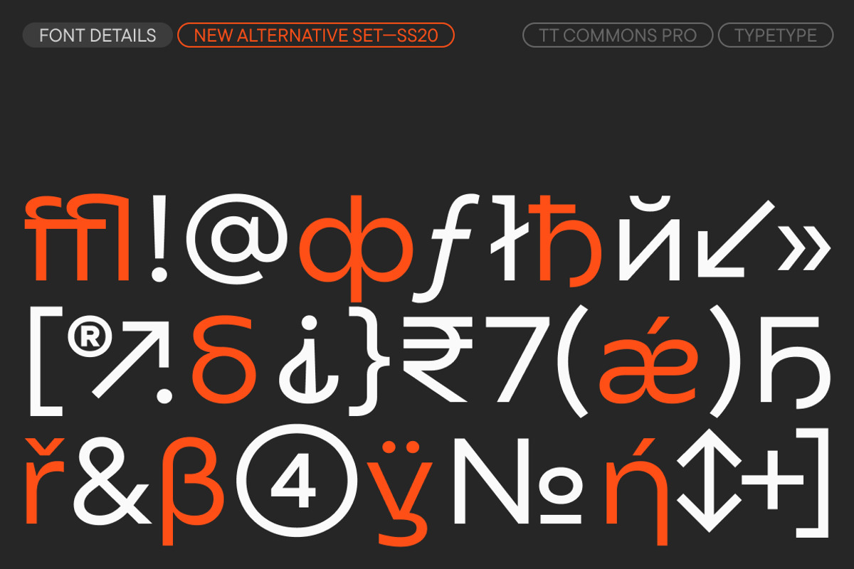 TT Commons Pro Expanded, a Sans Serif Font by TypeType (Photo 5 of 6)